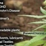 Profile photo of idjim42076
