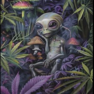Profile photo of skeeter420